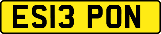 ES13PON