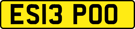 ES13POO