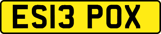 ES13POX