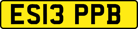 ES13PPB