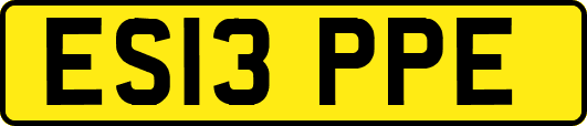 ES13PPE