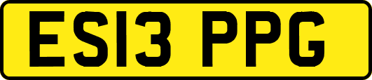 ES13PPG