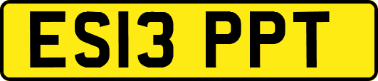 ES13PPT