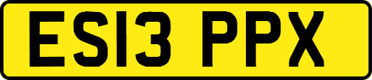 ES13PPX