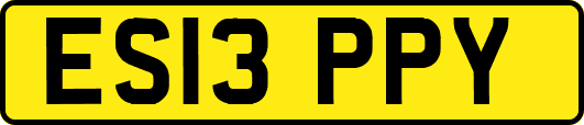 ES13PPY