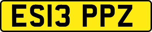 ES13PPZ
