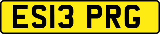 ES13PRG