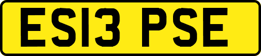 ES13PSE