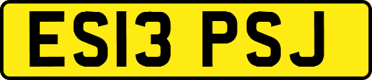 ES13PSJ