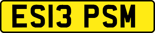 ES13PSM