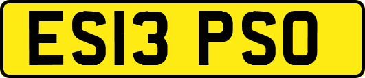 ES13PSO