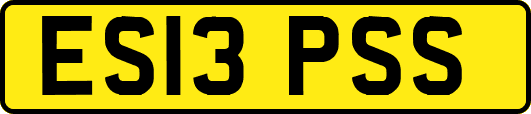ES13PSS