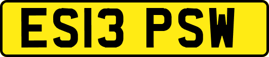 ES13PSW