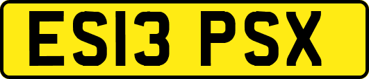 ES13PSX