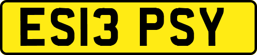 ES13PSY