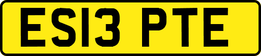 ES13PTE