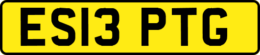 ES13PTG
