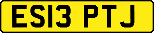 ES13PTJ
