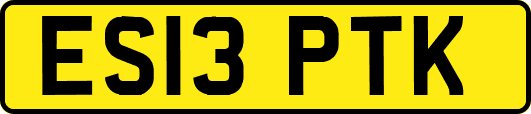 ES13PTK
