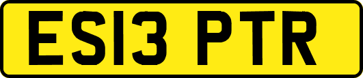 ES13PTR