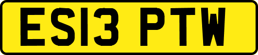 ES13PTW