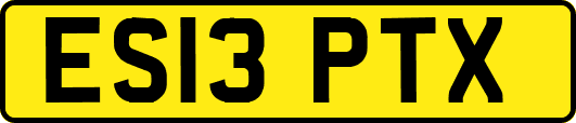 ES13PTX