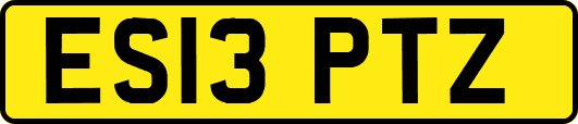 ES13PTZ