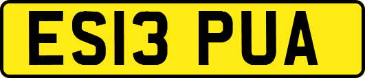 ES13PUA