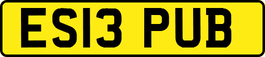 ES13PUB