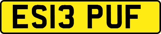ES13PUF