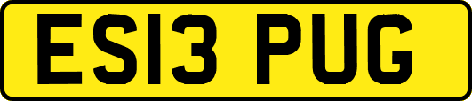 ES13PUG