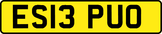 ES13PUO