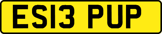 ES13PUP