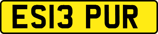 ES13PUR