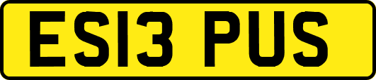 ES13PUS