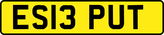ES13PUT