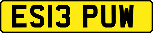 ES13PUW