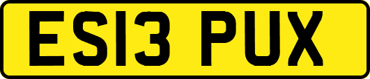 ES13PUX