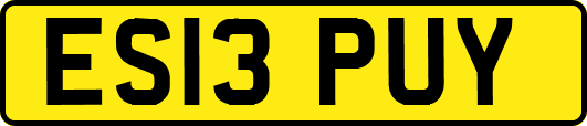 ES13PUY