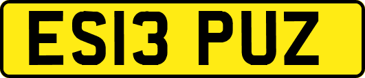ES13PUZ