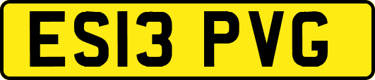 ES13PVG