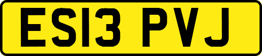 ES13PVJ
