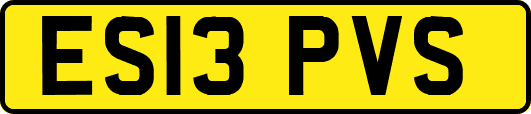ES13PVS