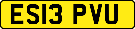 ES13PVU