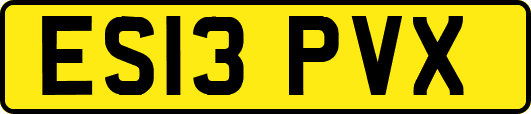 ES13PVX