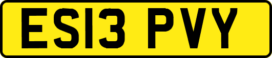 ES13PVY