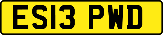 ES13PWD
