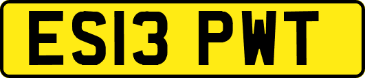 ES13PWT