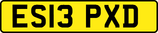 ES13PXD
