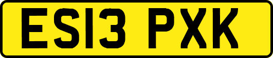 ES13PXK